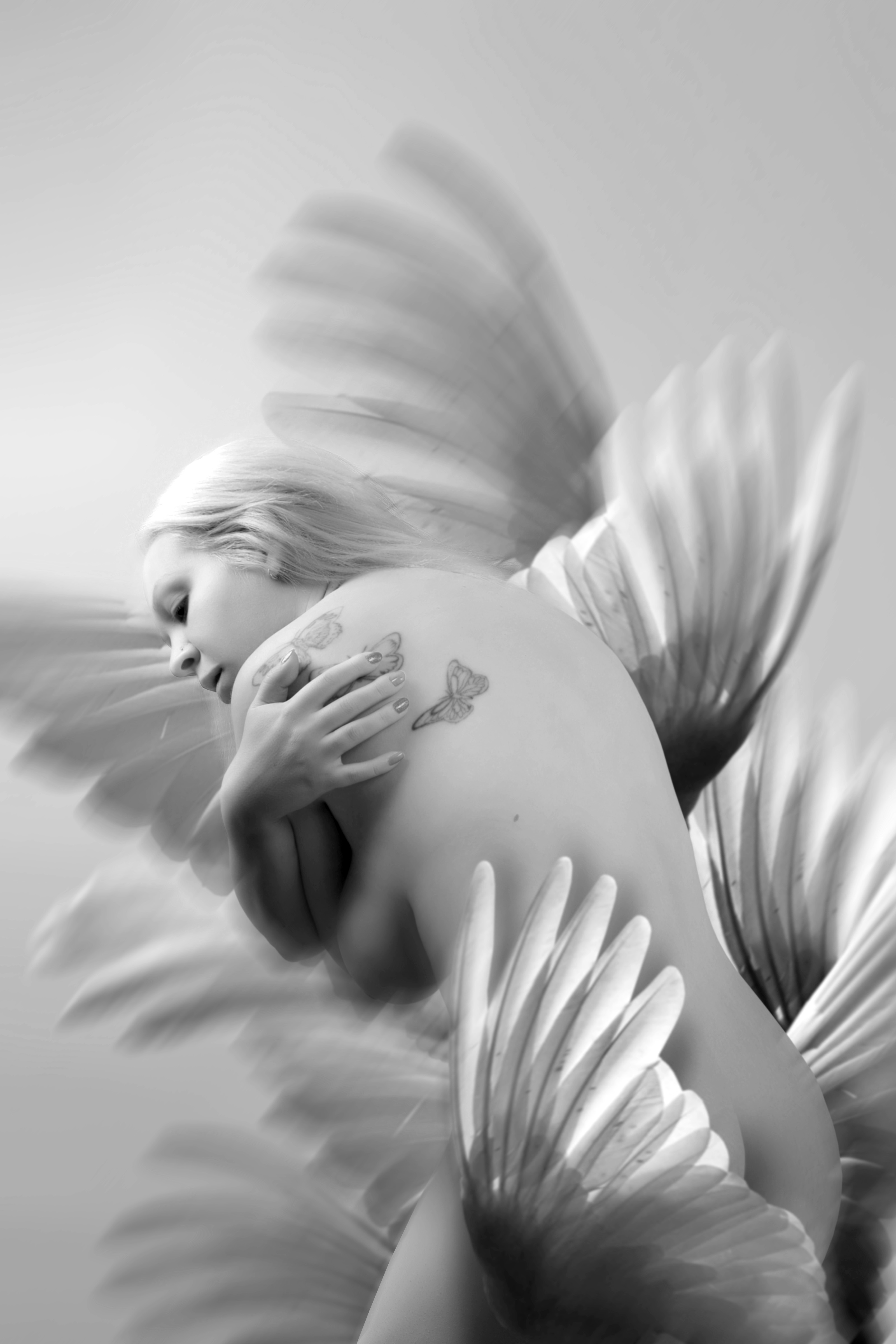 SIC_6168
